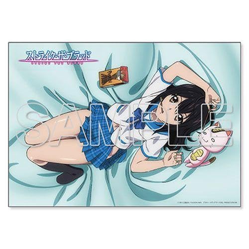 Amazon.co.jp: ストライクザブラッド B2マイクロファイバー